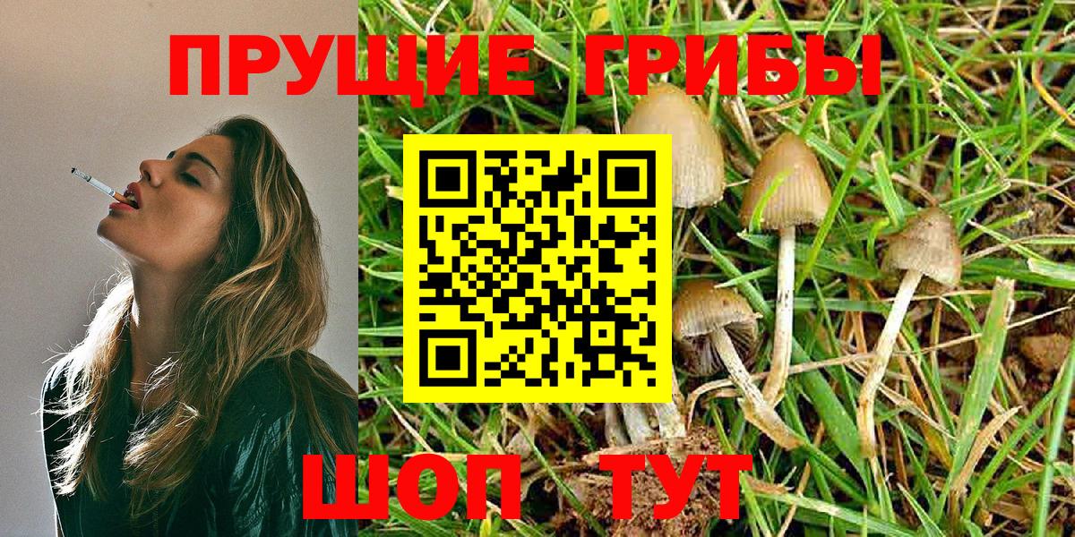 Псилоцибиновые грибы MAGIC MUSHROOMS Новокубанск