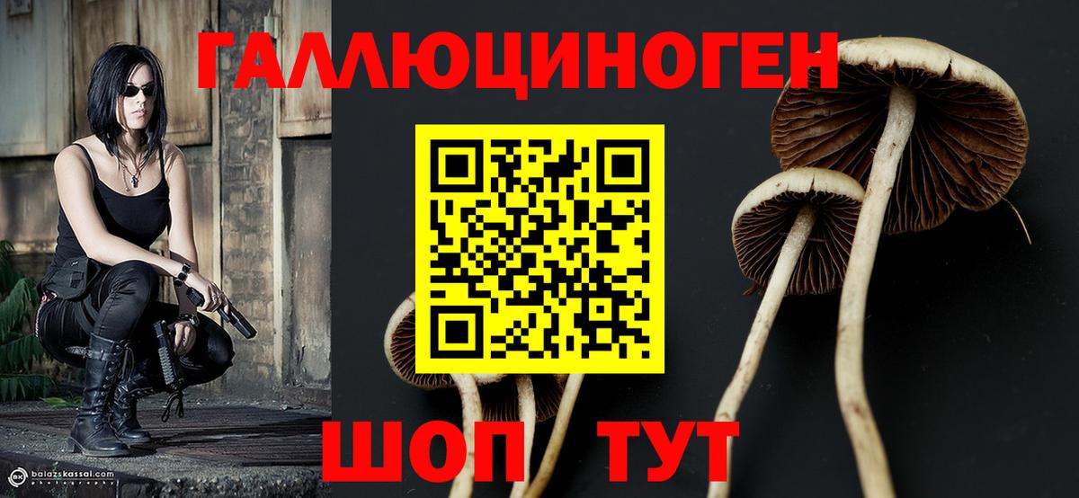Псилоцибиновые грибы Psilocybe  Псилоцибиновые грибы Magic Shrooms  Вход с VPN  Новокубанск 